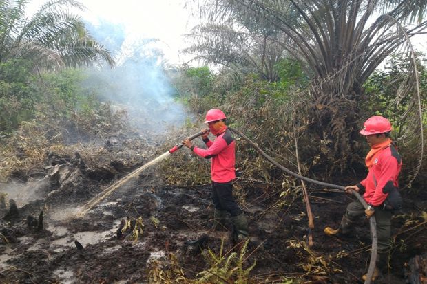 841 Hektare Hutan dan...