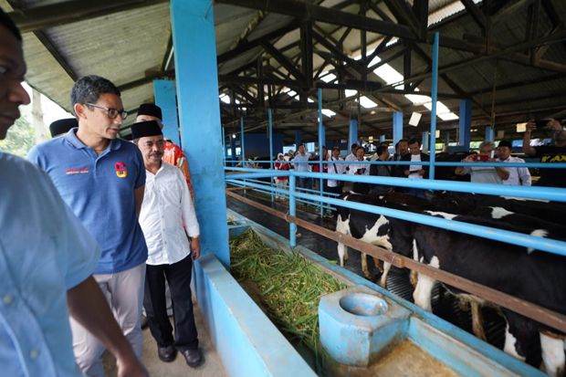 Kunjungi Pasuruan, Sandi...