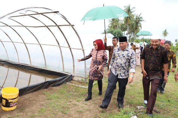 22 Hektare Disiapkan...