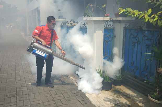 5 Warga Terkena DBD,...