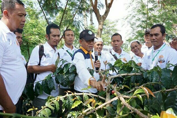 Petani Kopi dan MPIG...