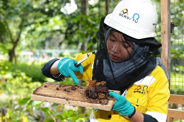 Amman Mineral Kembangkan...