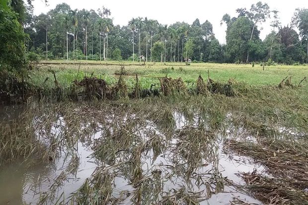 Terendam Banjir, Ratusan...
