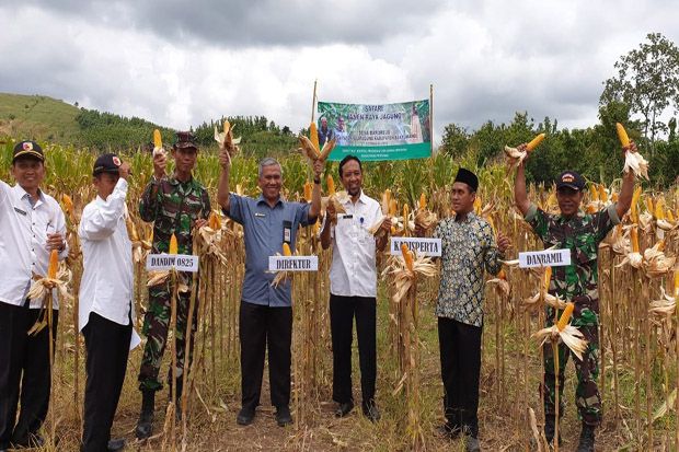Banyuwangi Sukses Panen...