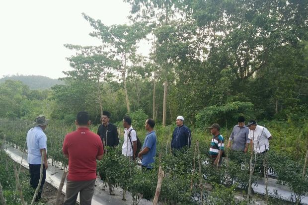 Kementan Ajak Agropreneur...