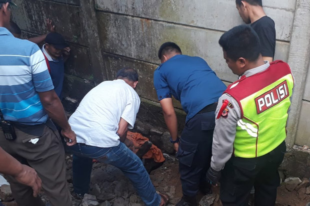 Benahi Tumpukan Kayu,...