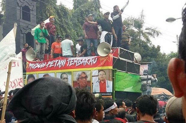 Petani Tembakau Diinstruksikan...