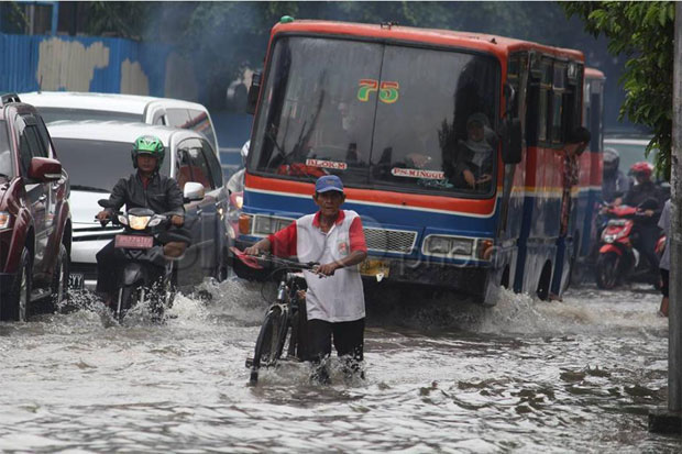 Pasca Diguyur Hujan,...
