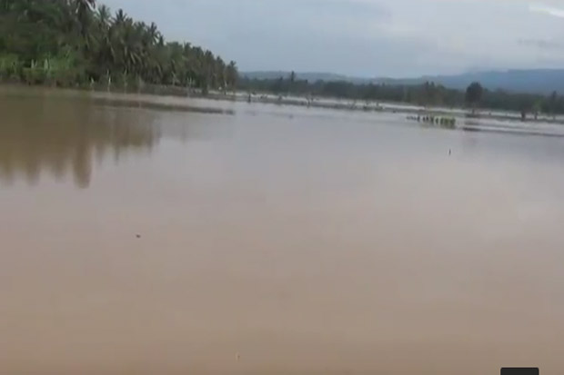 Banjir Rendam Ratusan...