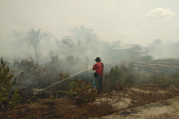 Kebun Milik Pengusaha...