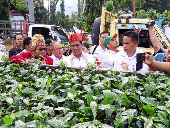 Ingin Kopi Toraja Makin...