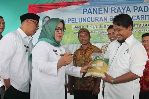 Swasembada Beras, Bupati...