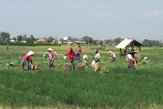 Kementan Serap Aspirasi,...