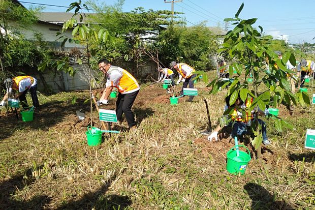 3.000 Pohon Langka Ditanam...