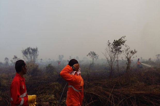 Riau Diperkirakan Kirim...