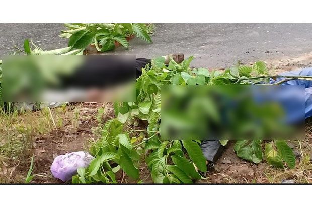 Suami dan Istri Meregang...