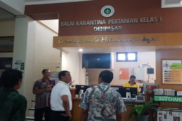 Hari Libur, Mentan Sidak...