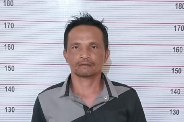 Bakar Lahan 8 Hektare,...