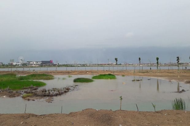 Tak Terurus, Waduk Rorotan...