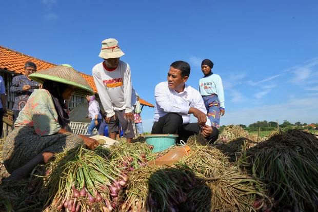 Mentan: Hukum Seberatnya...