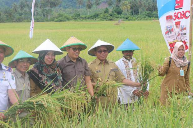 Hadiri Pesta Panen Desa...