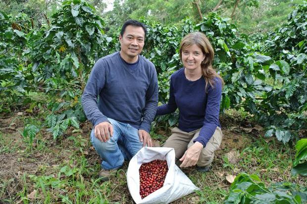 Toba Coffee Show Siap...