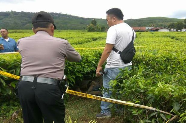 Terkait Mayat di Kebun...