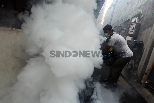Fogging Nasional Serentak,...
