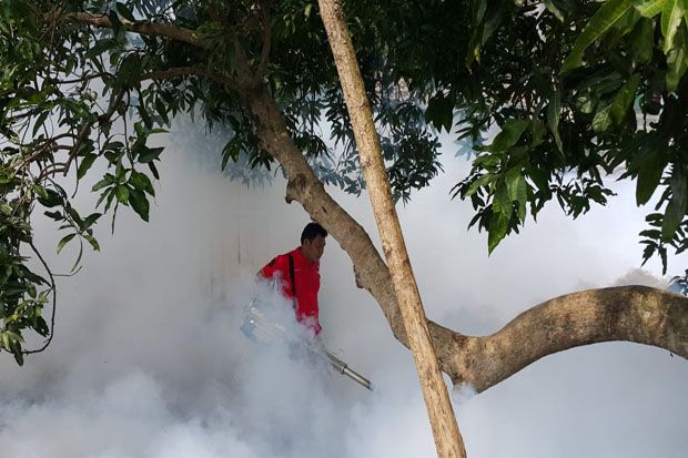Demam Berdarah Mengganas,...