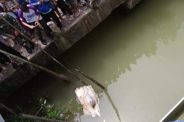 Lagi, Mayat Dalam Karung...