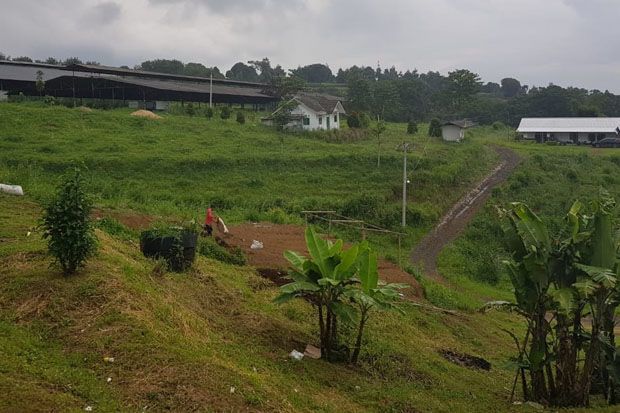 Markaz Syariah, Wajah...