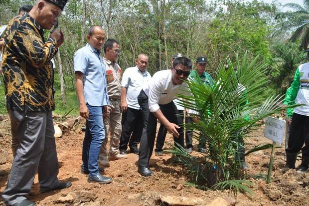 Petani Sawit :Terima...