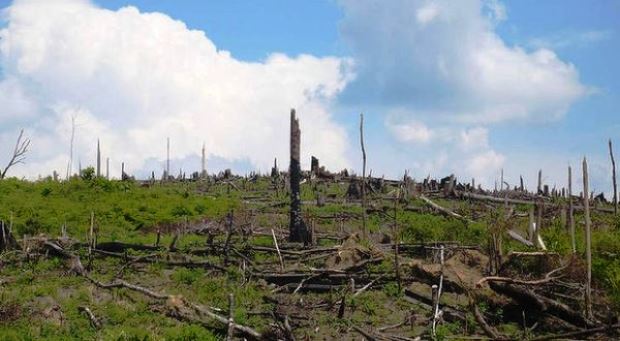 TNC Indonesia Libatkan...
