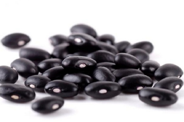Kacang Hitam Dapat Mengendalikan...