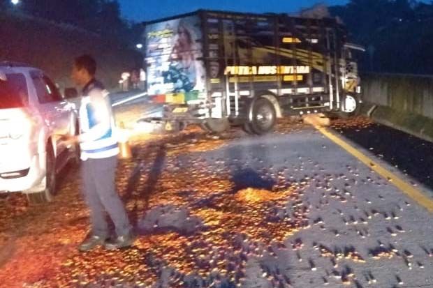 Truk Hantam Tangki di...