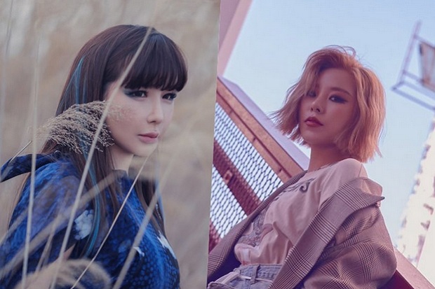 Garap Album, Park Bom...