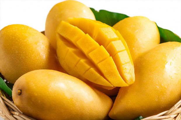 Manfaat Buah Mangga...