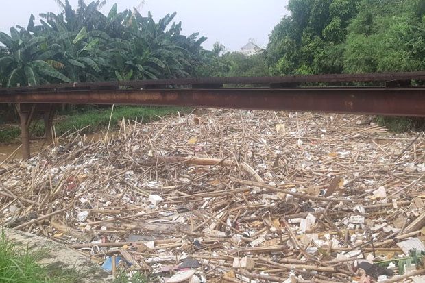 Sampah Bambu yang Lebih...