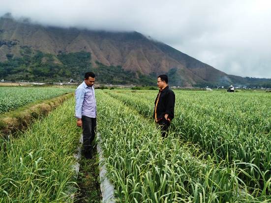 Kementan Libatkan Perbankan...