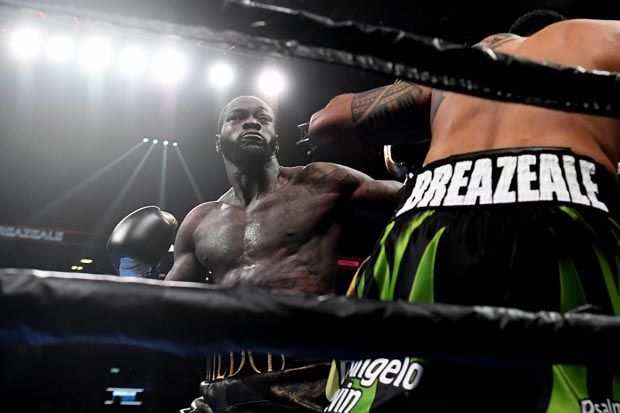 Ortiz, Fury, atau Joshua...