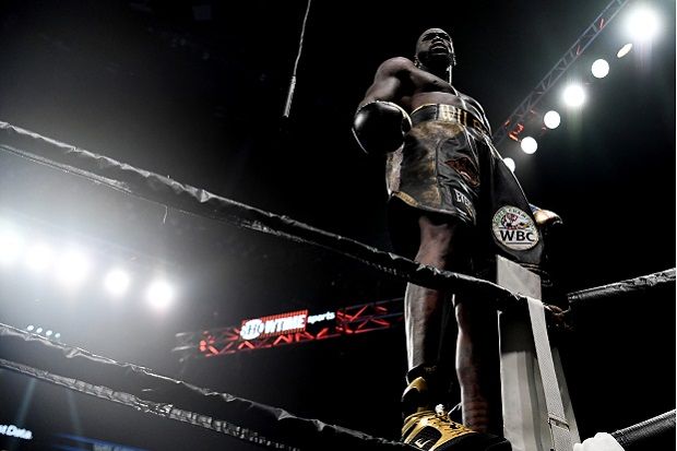 Deontay Wilder, Petinju...