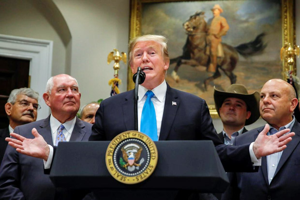 Trump Ragukan Rencana...