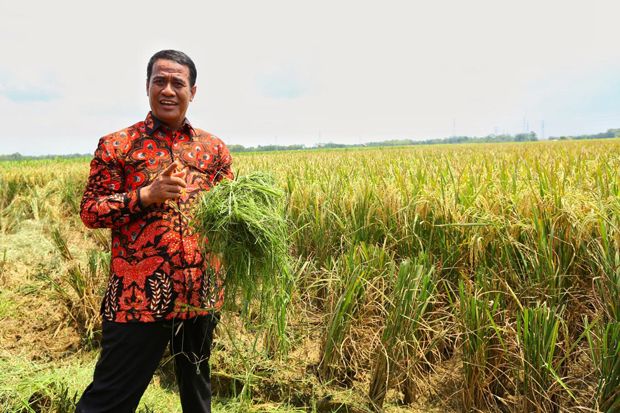 Kementan Raih Opini...