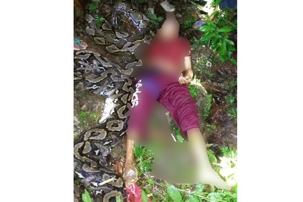 Mengerikan, Petani Buton...