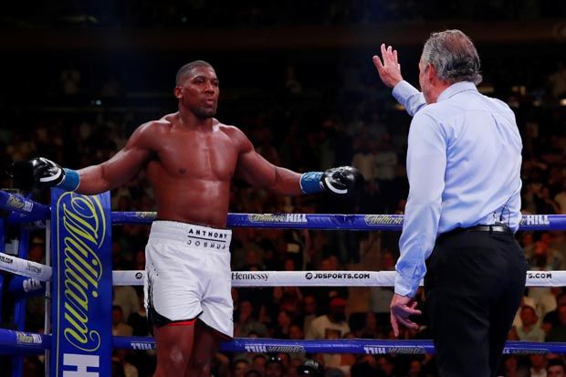 Duel vs Deontay Wilder...