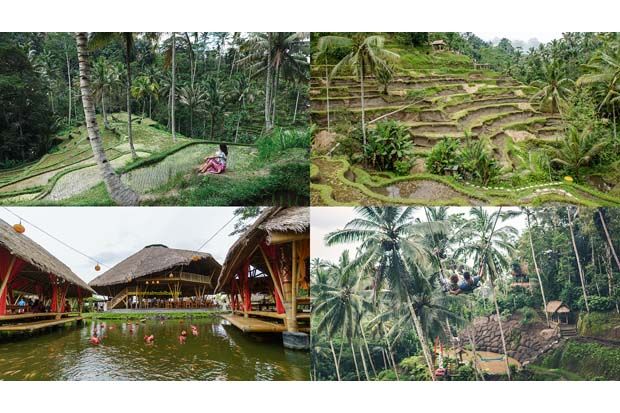 Ubud Destinasi Wisata...