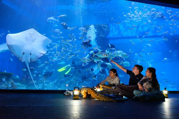 Jakarta Aquarium, Pusat...