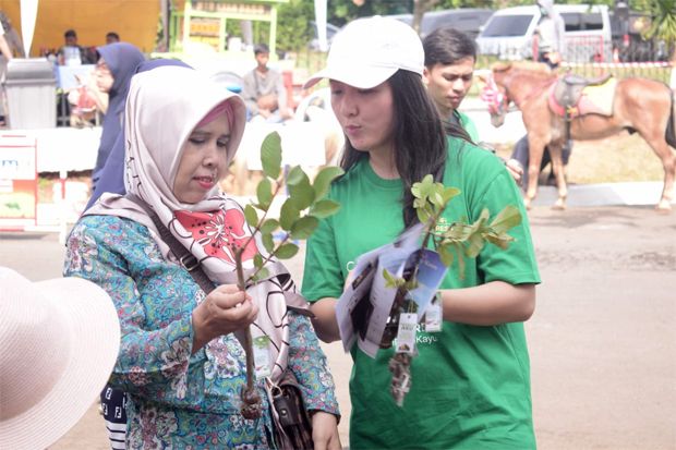 Cegah Penebangan Hutan,...