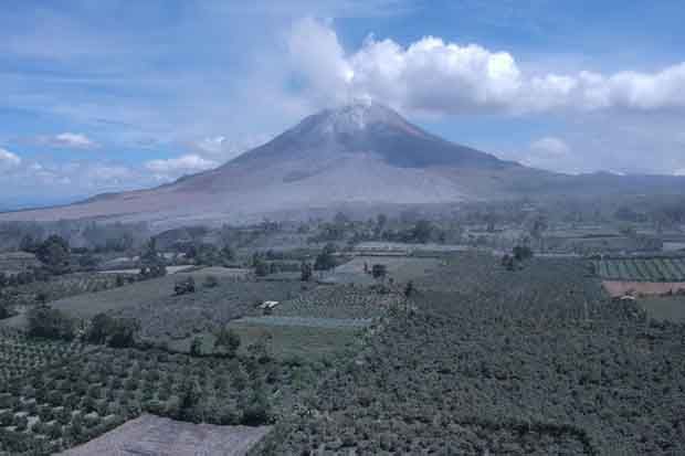 Pasca-Erupsi Sinabung,...