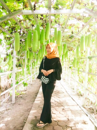 Taman Agro Inovasi TPHP...